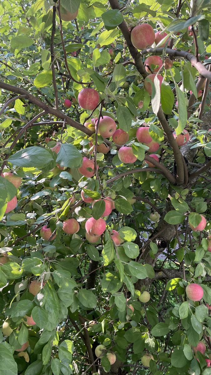 Природа всегда отдает