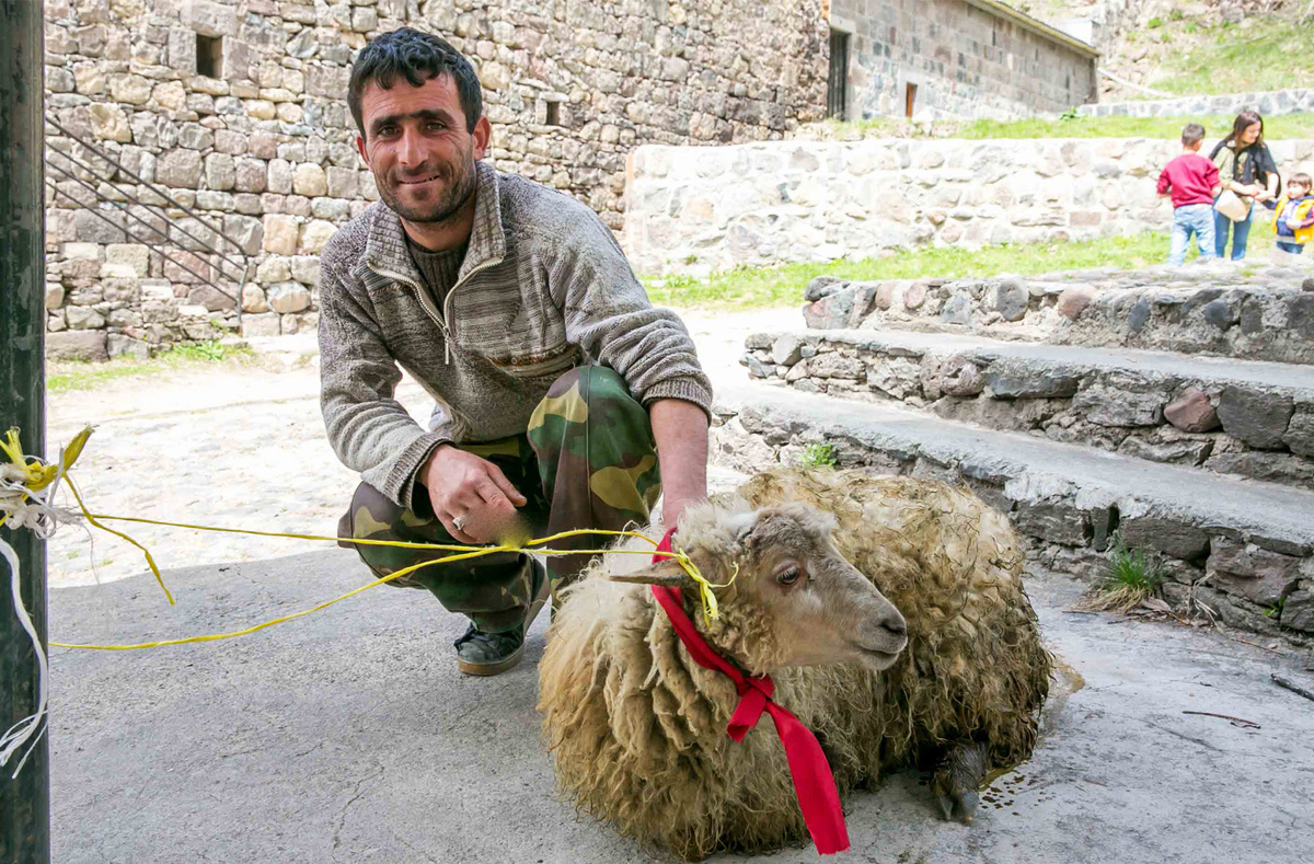 Барана готовят к жертвоприношению