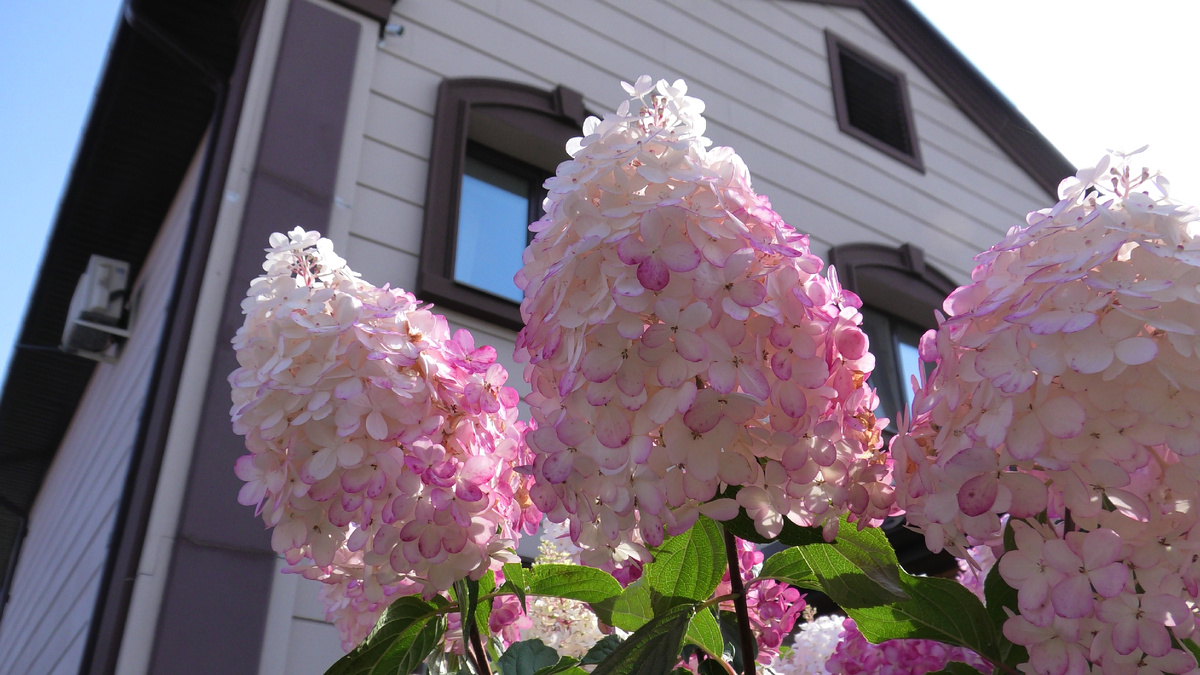 Фото автора канала Дом с кипарисами.