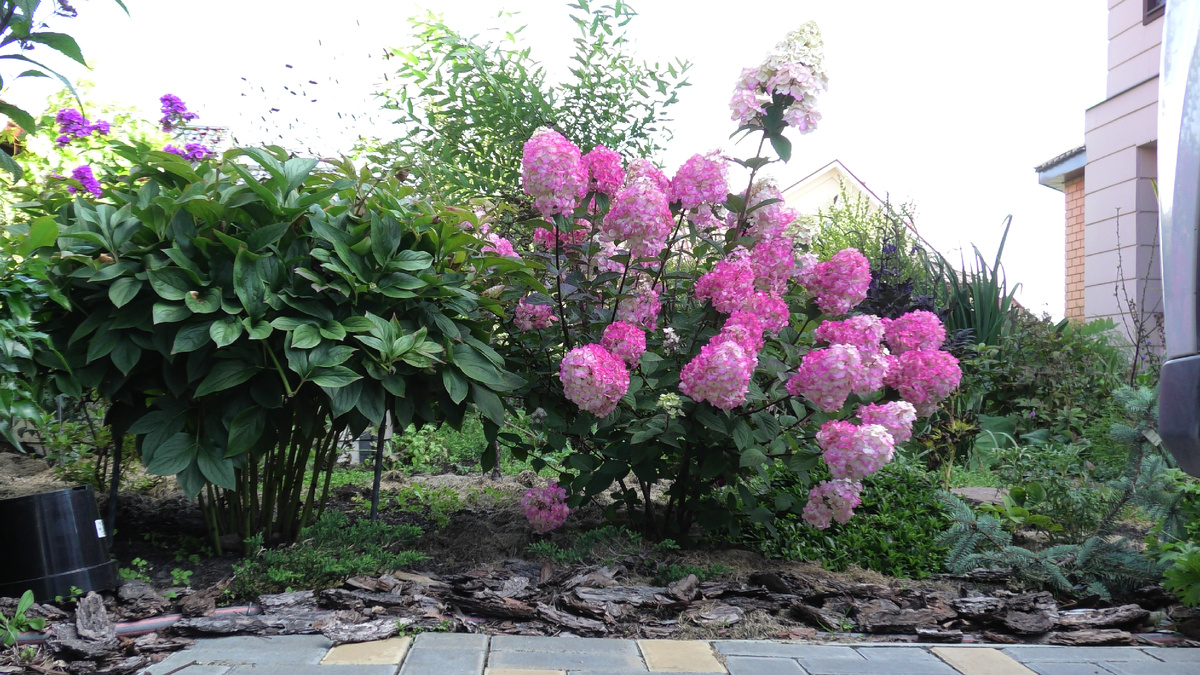 Фото автора канала Дом с кипарисами.