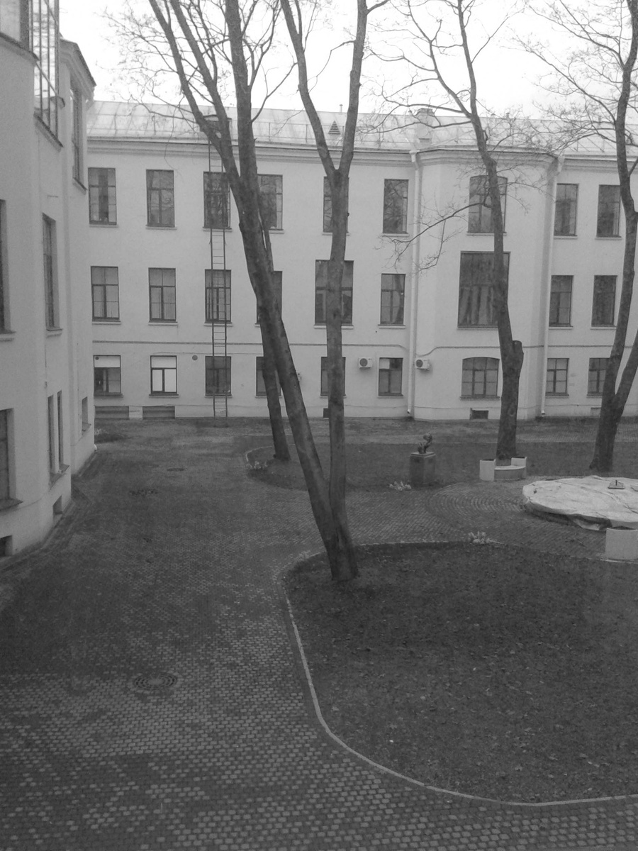 Вид во двор института