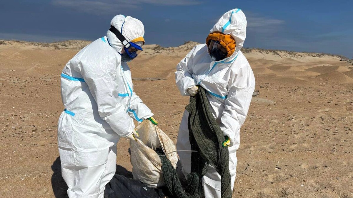    Фото предоставлено пресс-службой волонтерского лагеря
