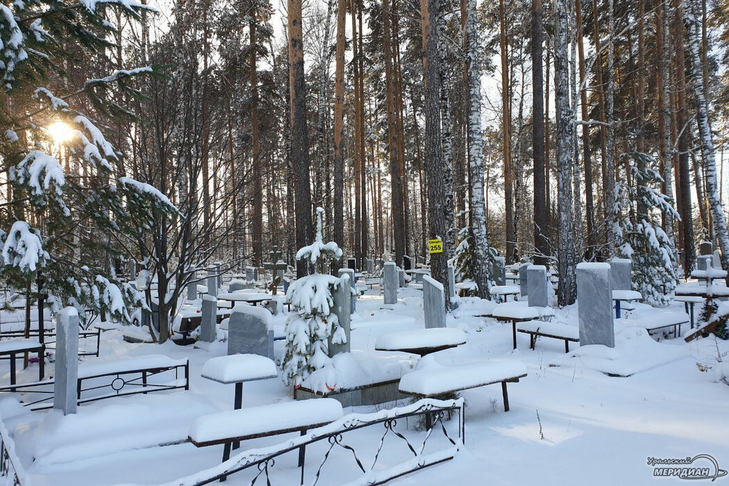    Фото: Анна Овсянникова © ИА «Уральский меридиан»