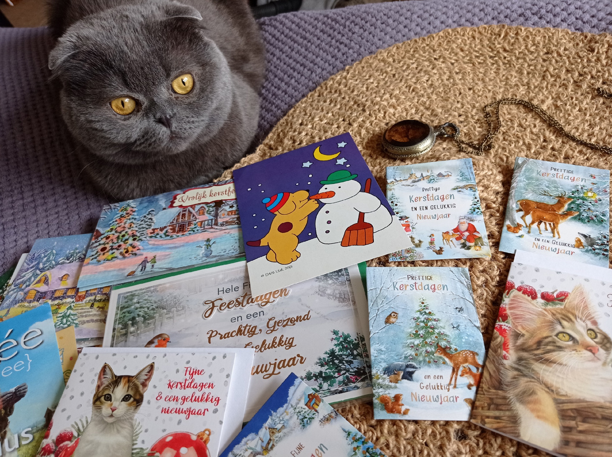 Марсель изучает новое поступление в коллекцию: проверил, заверил, одобрил, лапкой печать поставил :)