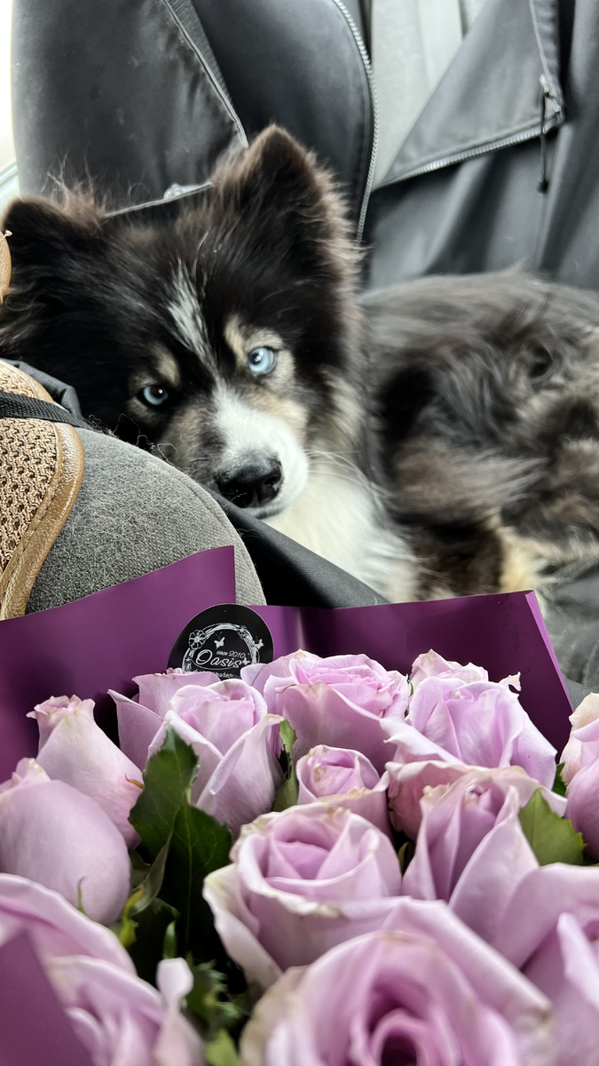 По традиции, когда приезжаю домой, всегда покупаю маме цветы. Приятная мелочь