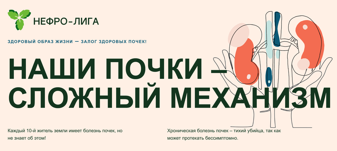 Сайт для знакомства со своими почками