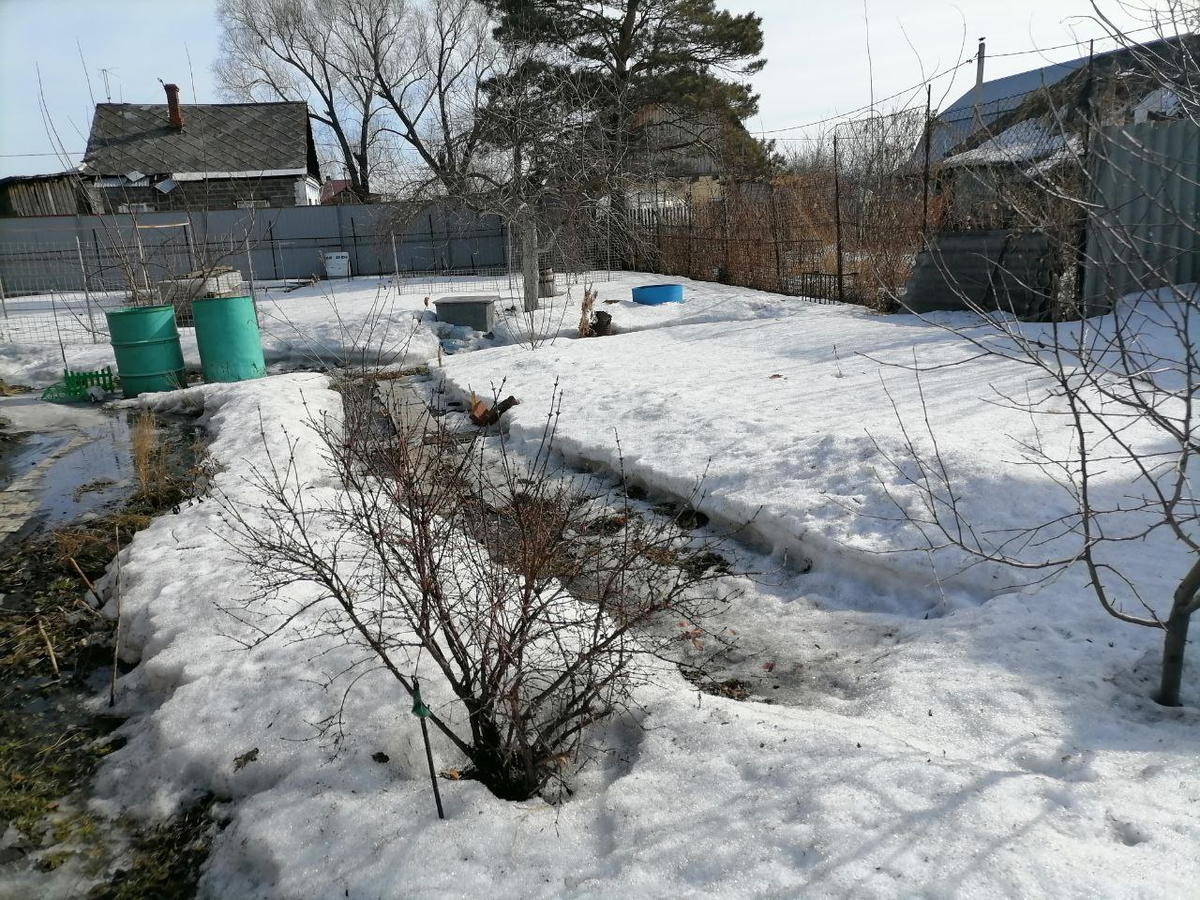 Мой участок 20 марта