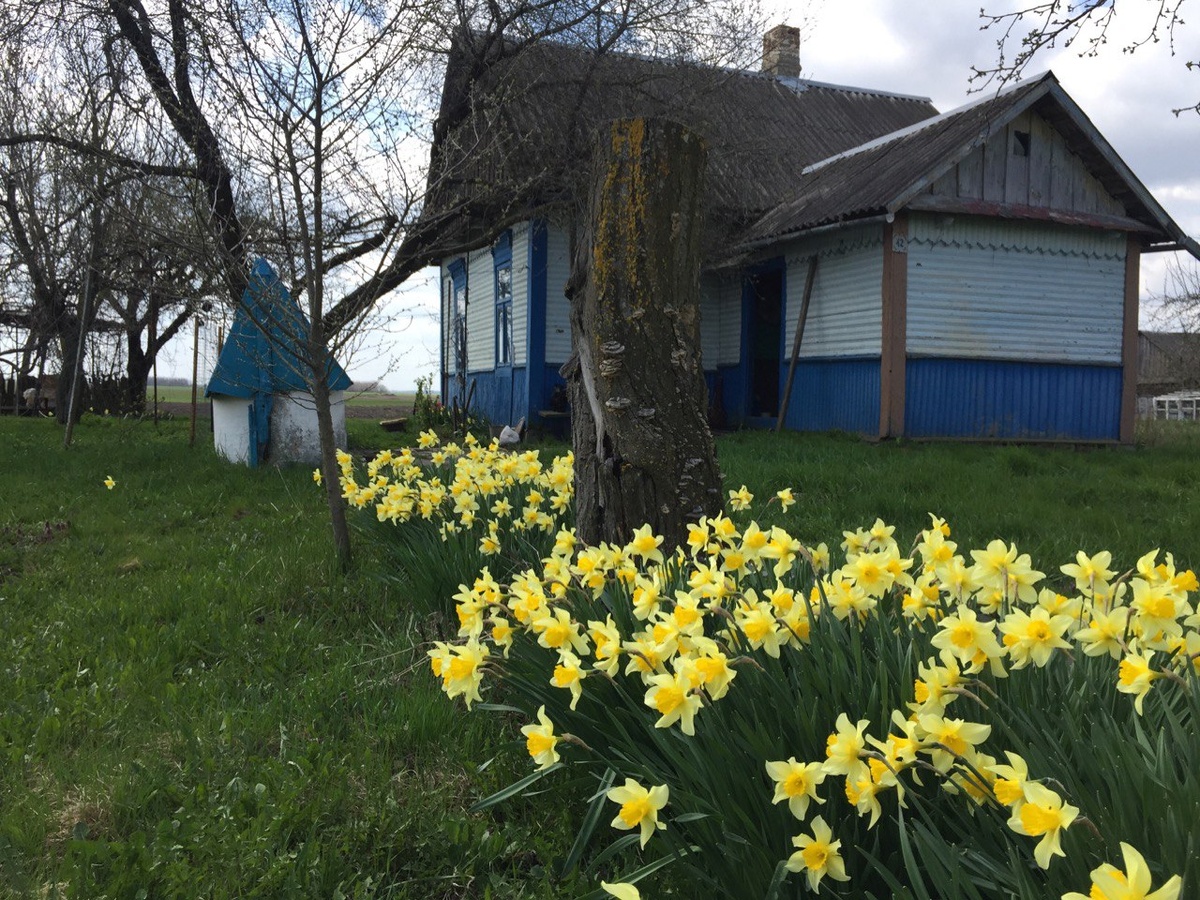 фото автора