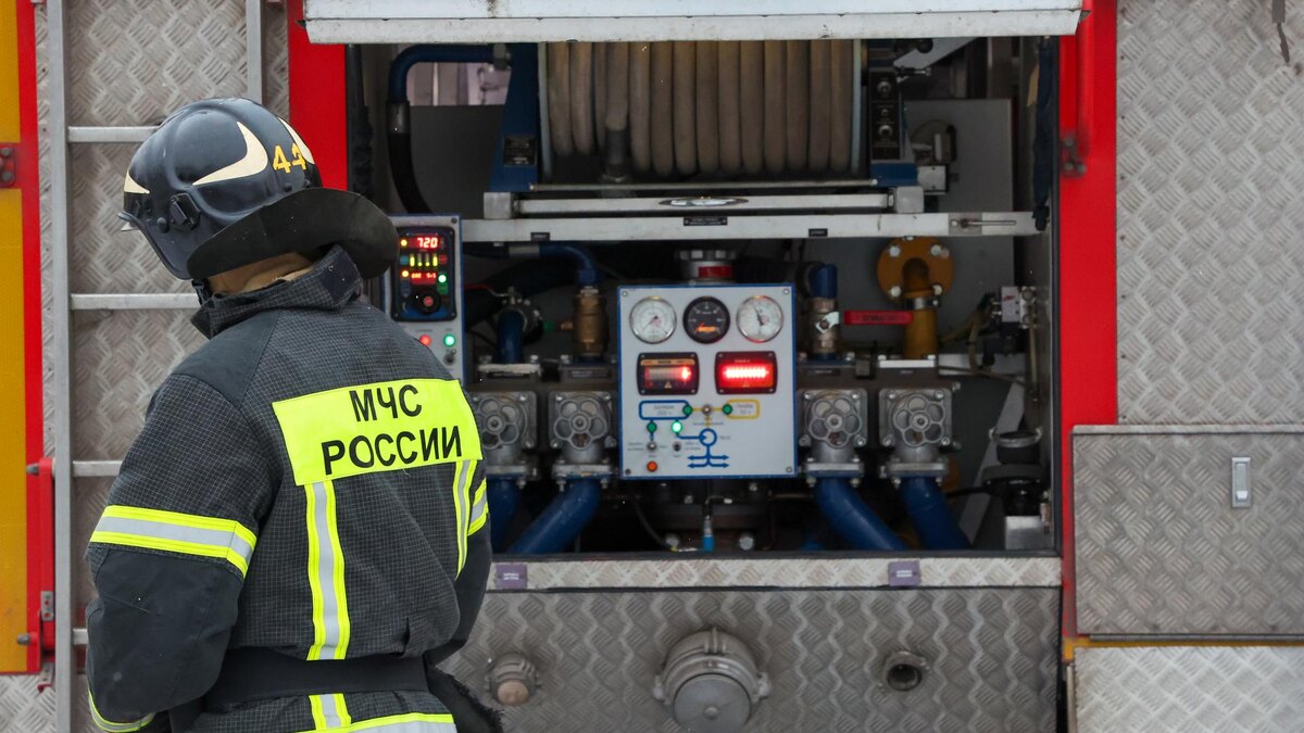    Фото: Belkin Alexey/news.ru