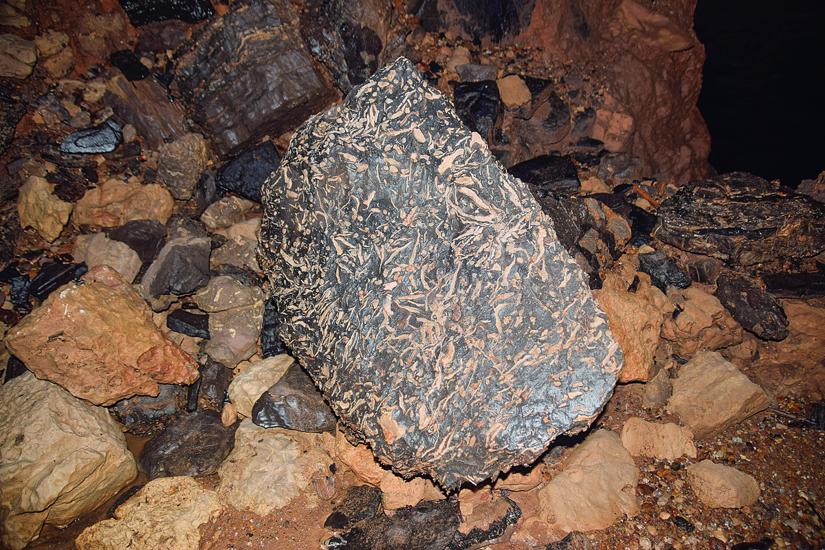 Камень с кораллами из пещеры в Симе "Коралловый риф"