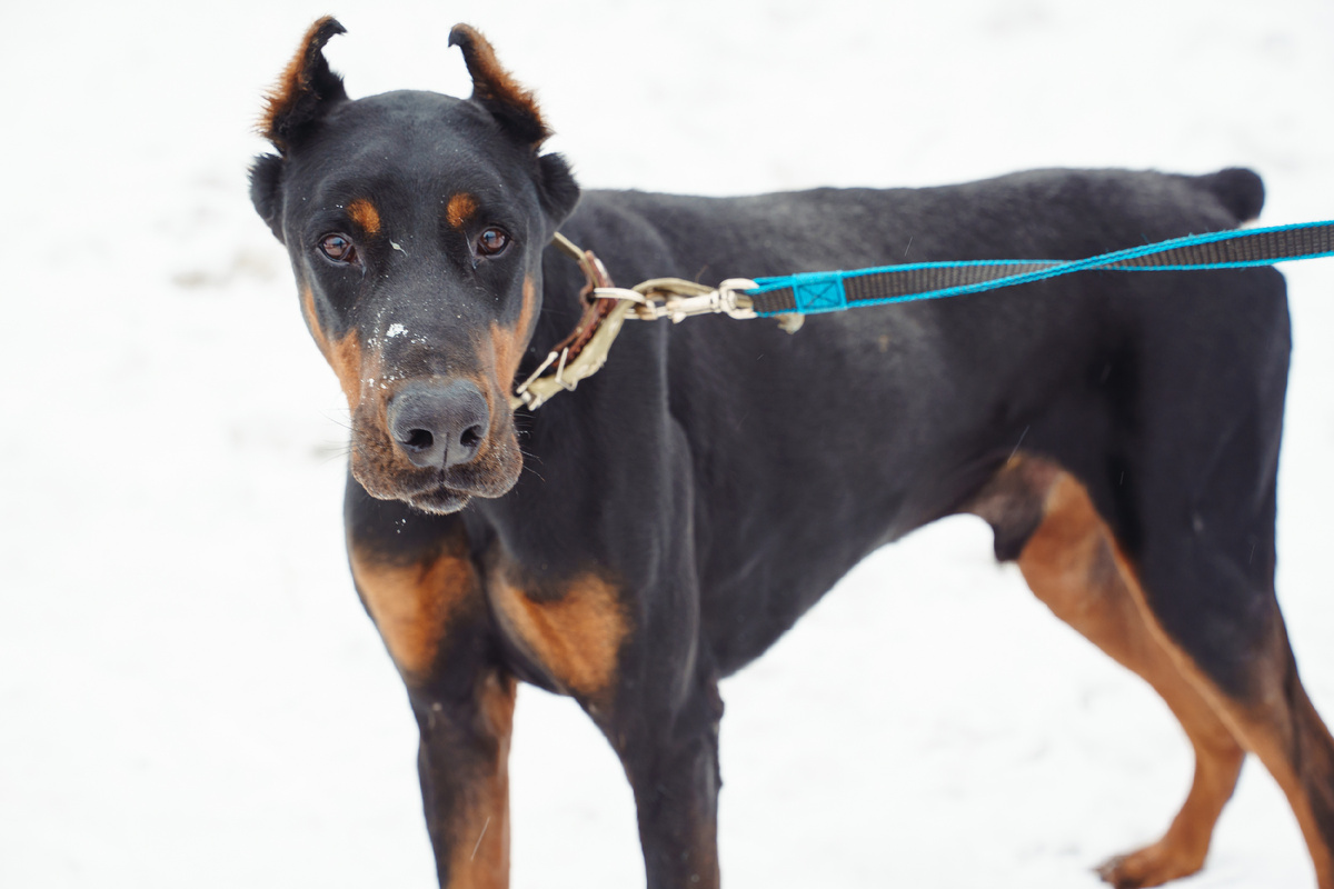 Биоэтика учит нас уважать и ценить каждую жизнь. 