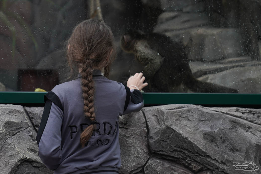    Фото: Лидия Аникина © ИА «Уральский меридиан»