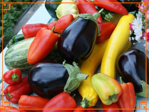 Фото из интернета. что можно выращивать после редиса