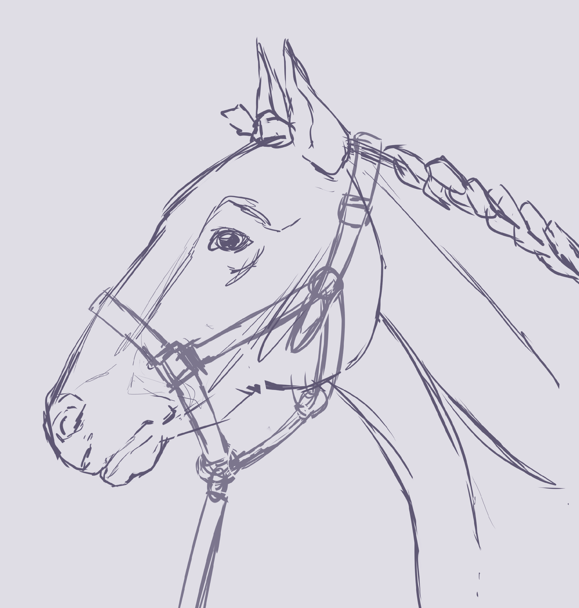 Мой быстрый скетч с лошадкой