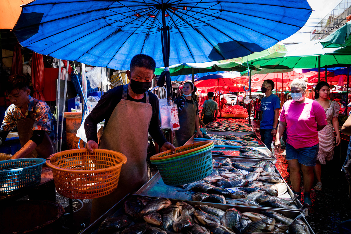 Фото: © Matt Hunt/ Keystone Press Agency/ Global Look Press
