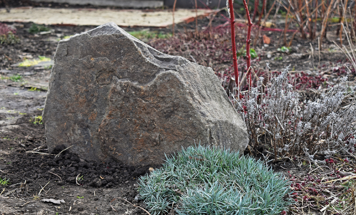 Один из стражей кменистого сада.