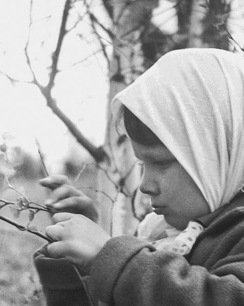    Главархив представил онлайн-выставку о весенней Москве в разные эпохи