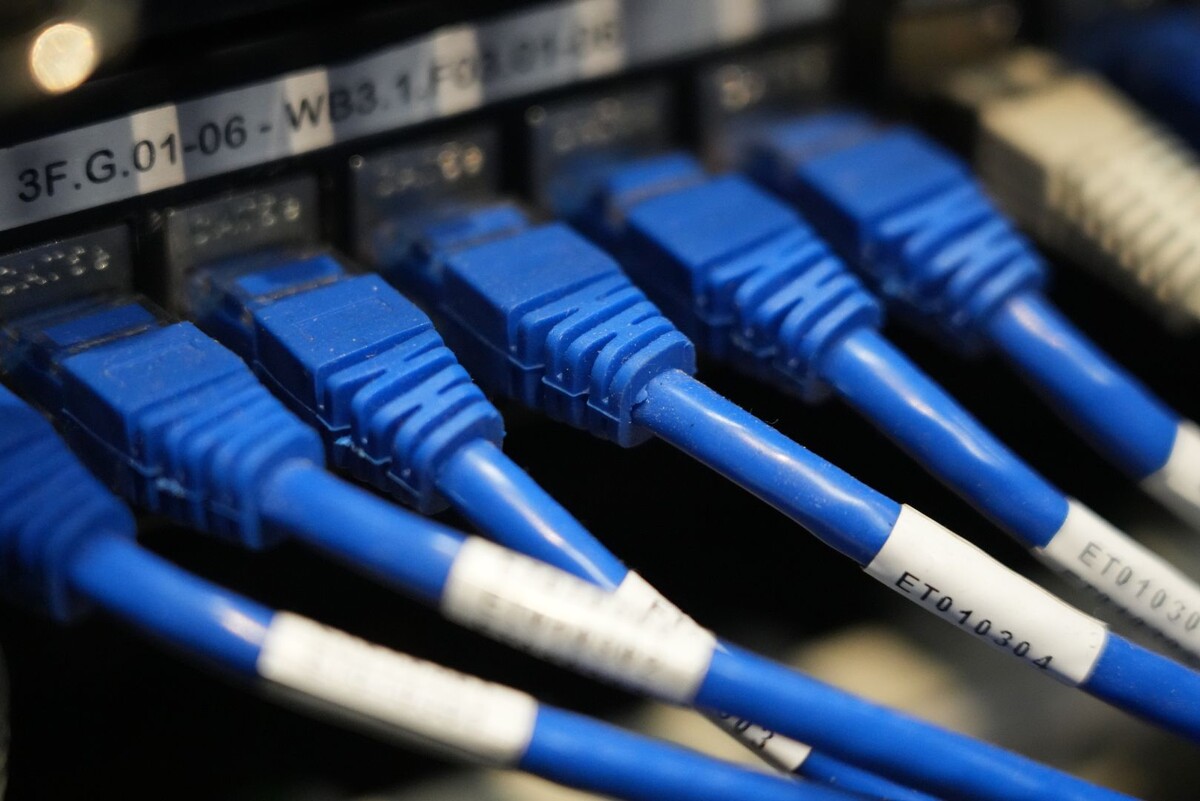     / Источник: © ИЗВЕСТИЯ/Дмитрий Коротаев