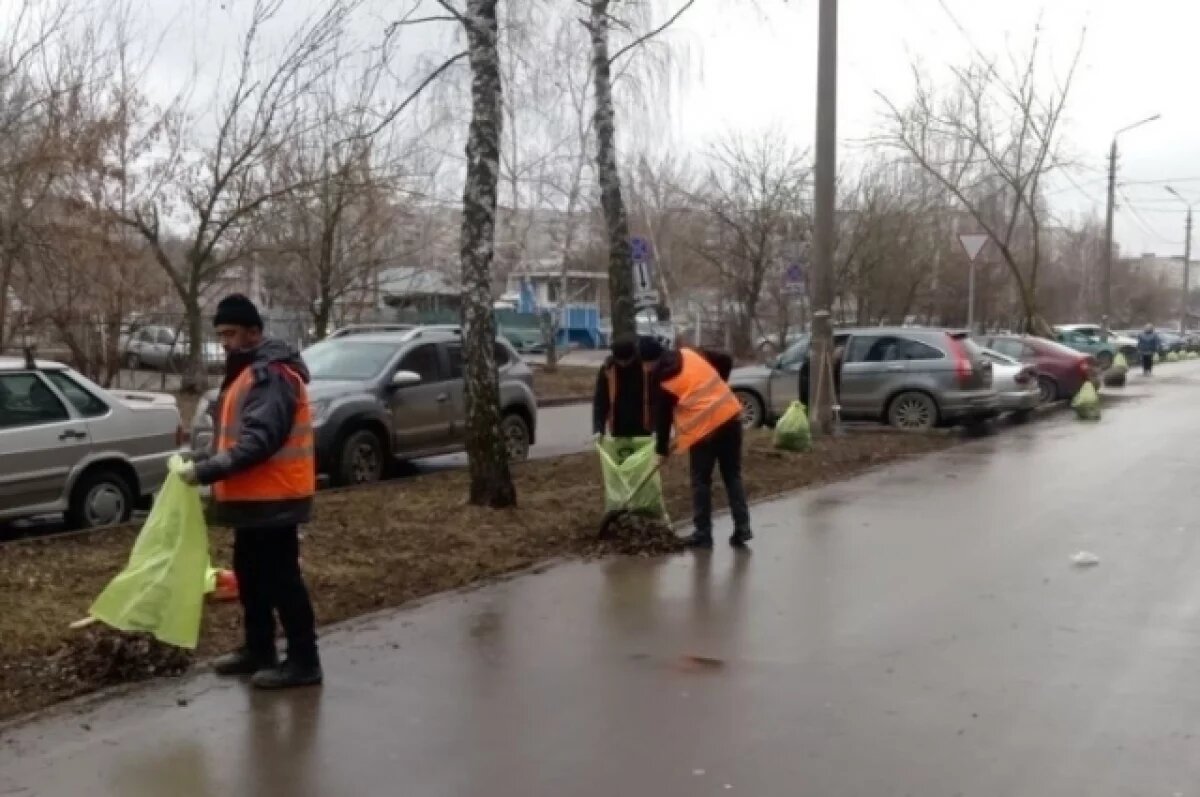    В Туле проверили состояние центральных и второстепенных улиц