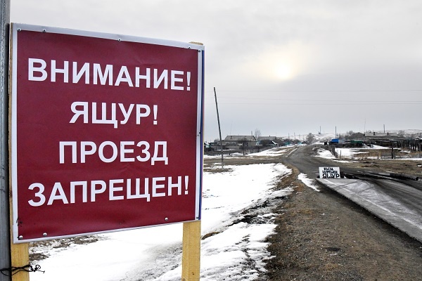 Фото: ТАСС/Евгений Епанчинцев