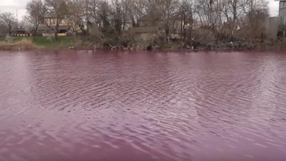 Фото: kuban24.tv