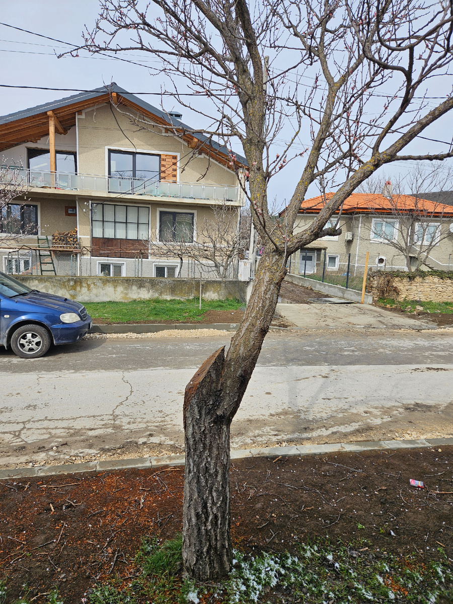 Убрали одну большую ветку