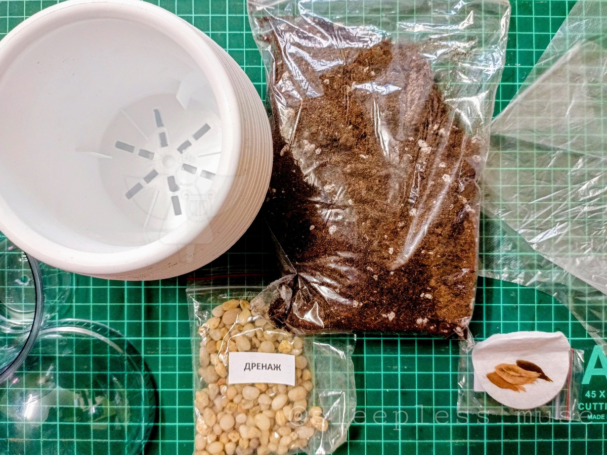 Набор: горшок, тепличка, семена, грунт, дренаж, перчатки, инструкция