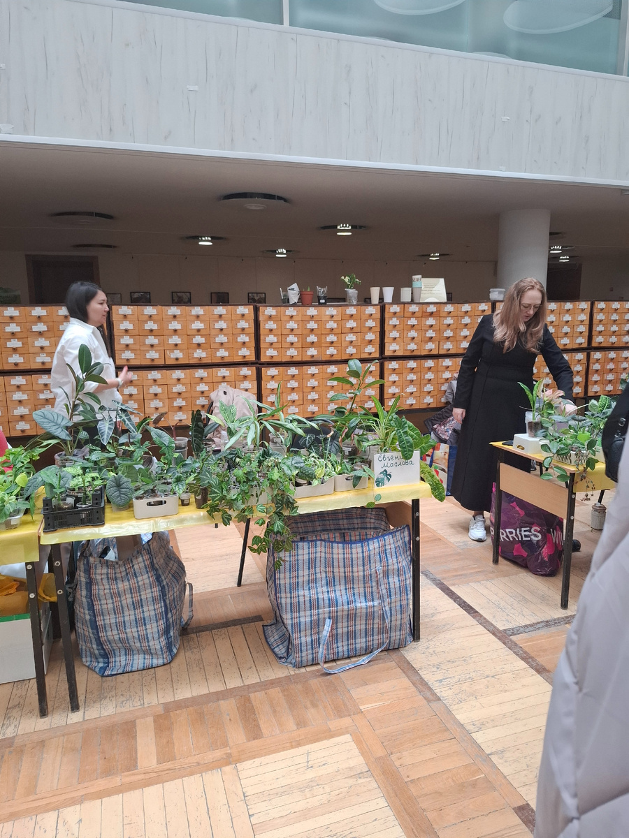 Так выглядят столы 