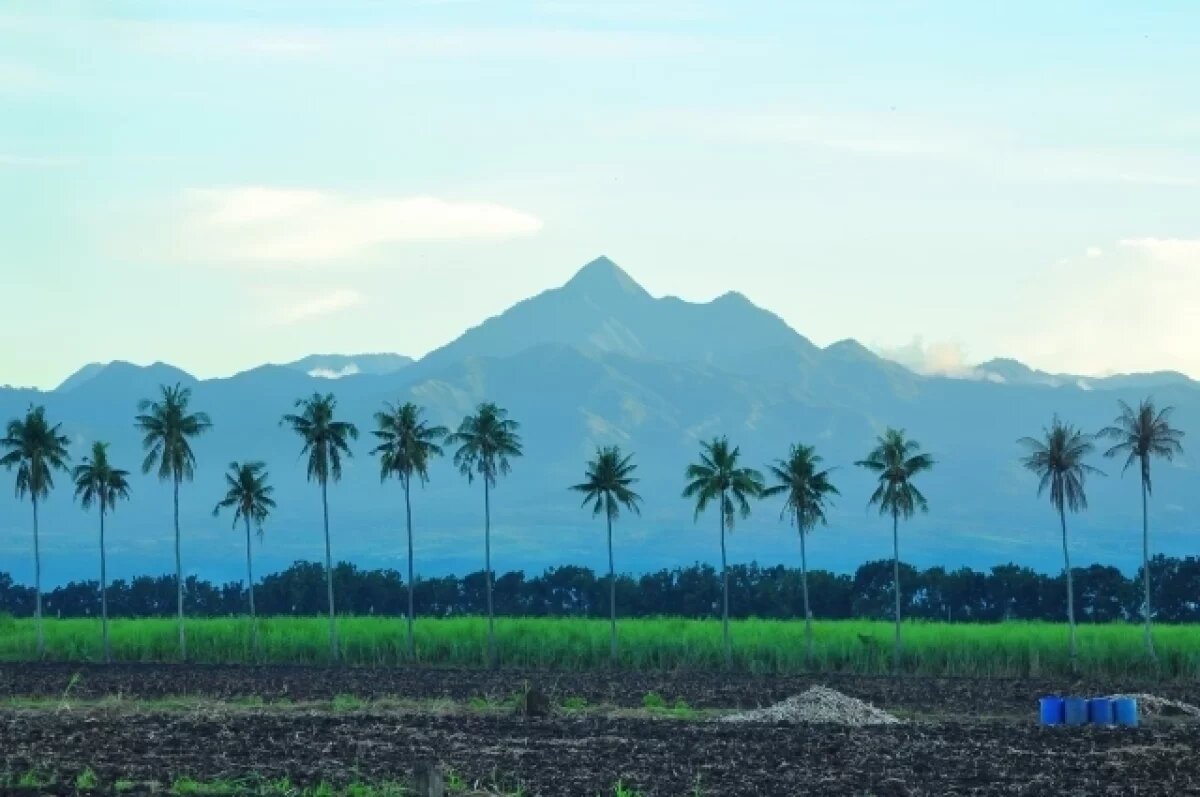    Пропавший на Филиппинах россиянин Антон Чернов найден живым