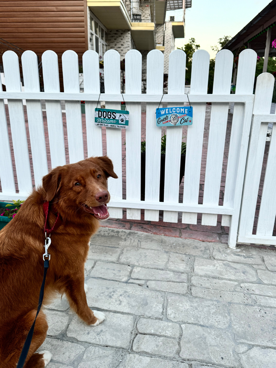 Кожаные привезли меня в классный отель