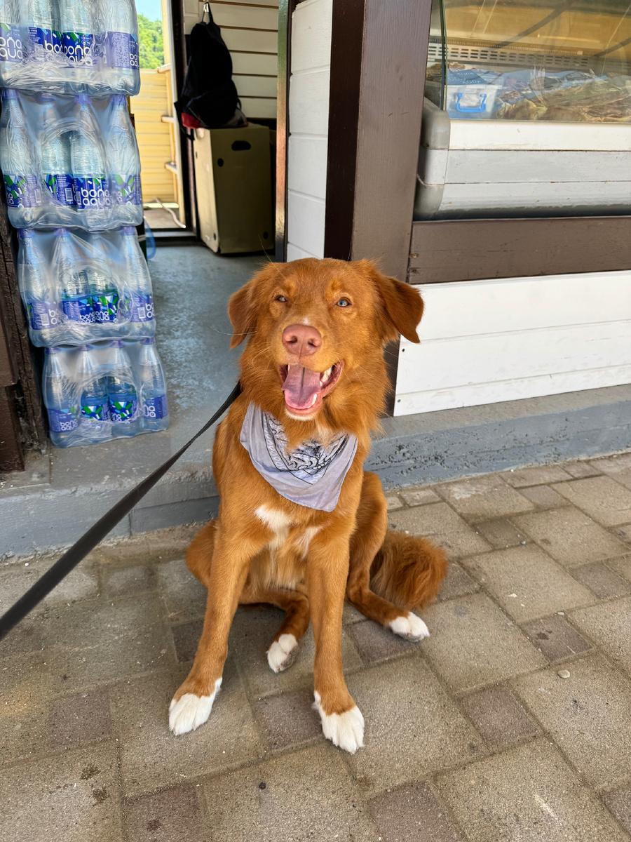 Спасение от жары