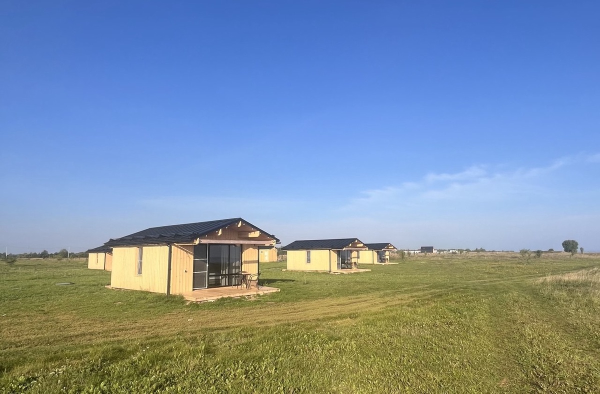 Отдых с питомцами