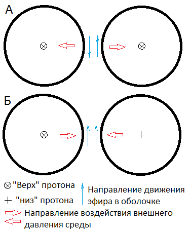 Рисунок 1. Силы, действующие на протоны при их приближении. Кольцевая составляющая.