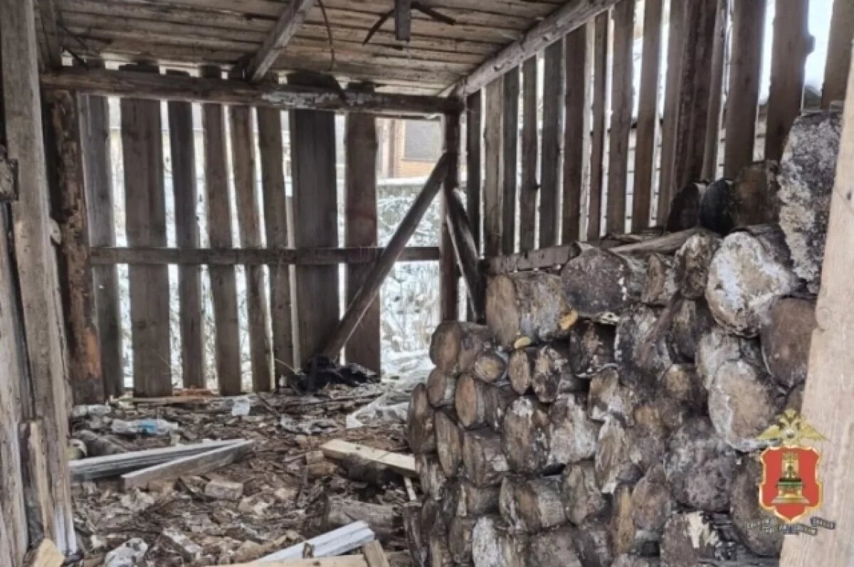    В Западной Двине женщина похитила у соседки 4,5 кубометра дров