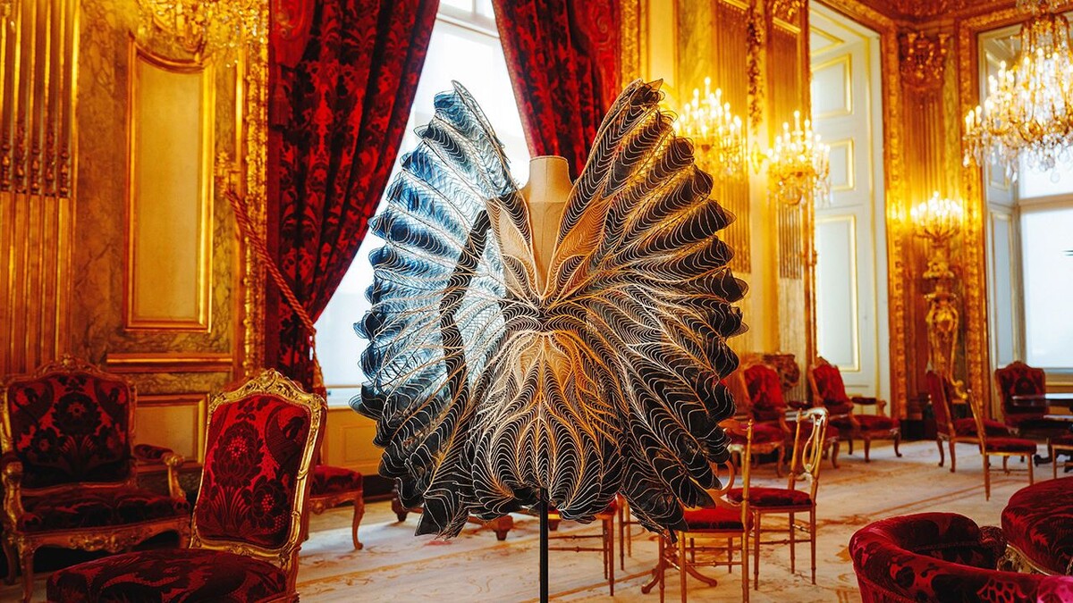 Полет воображения
