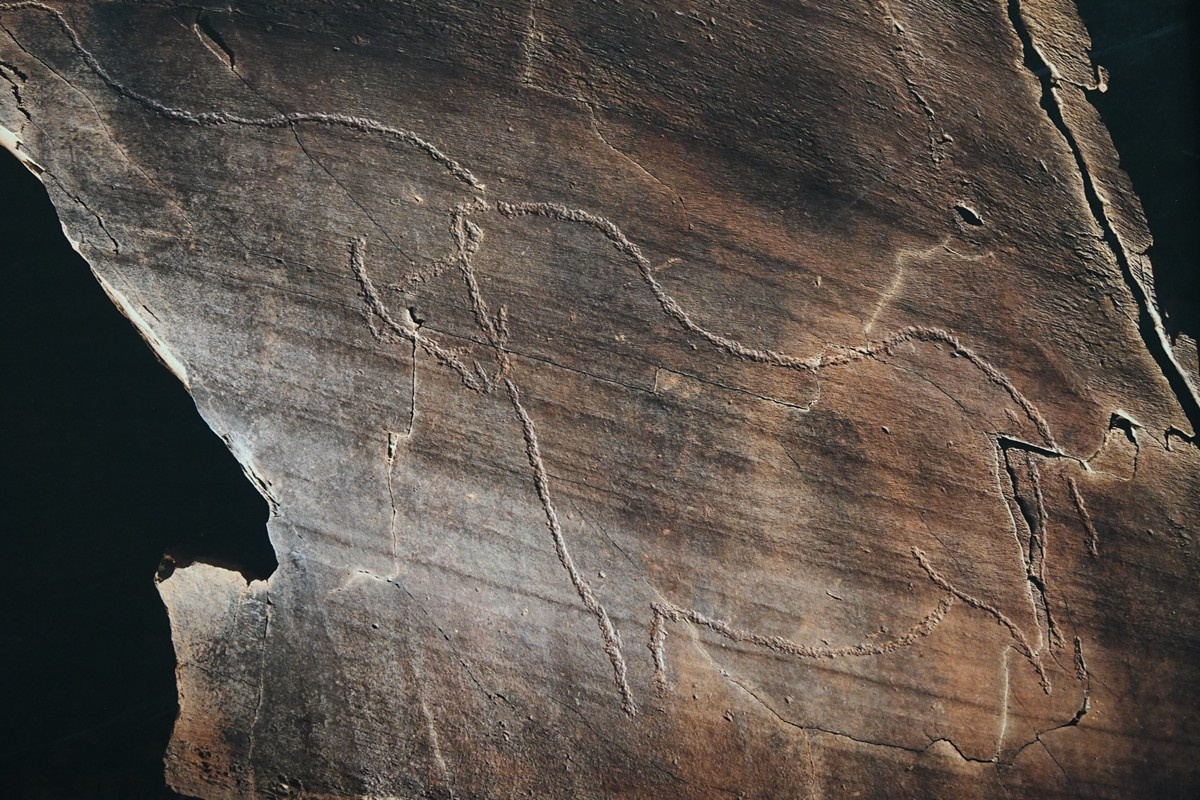    Выставка фотографий древнейших петроглифов Португалии открылась в Нацмузее. Фото: "Республика"/Максим Смирнов