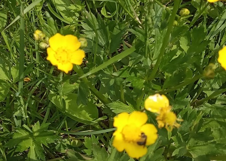 Фотография из личного архива автора