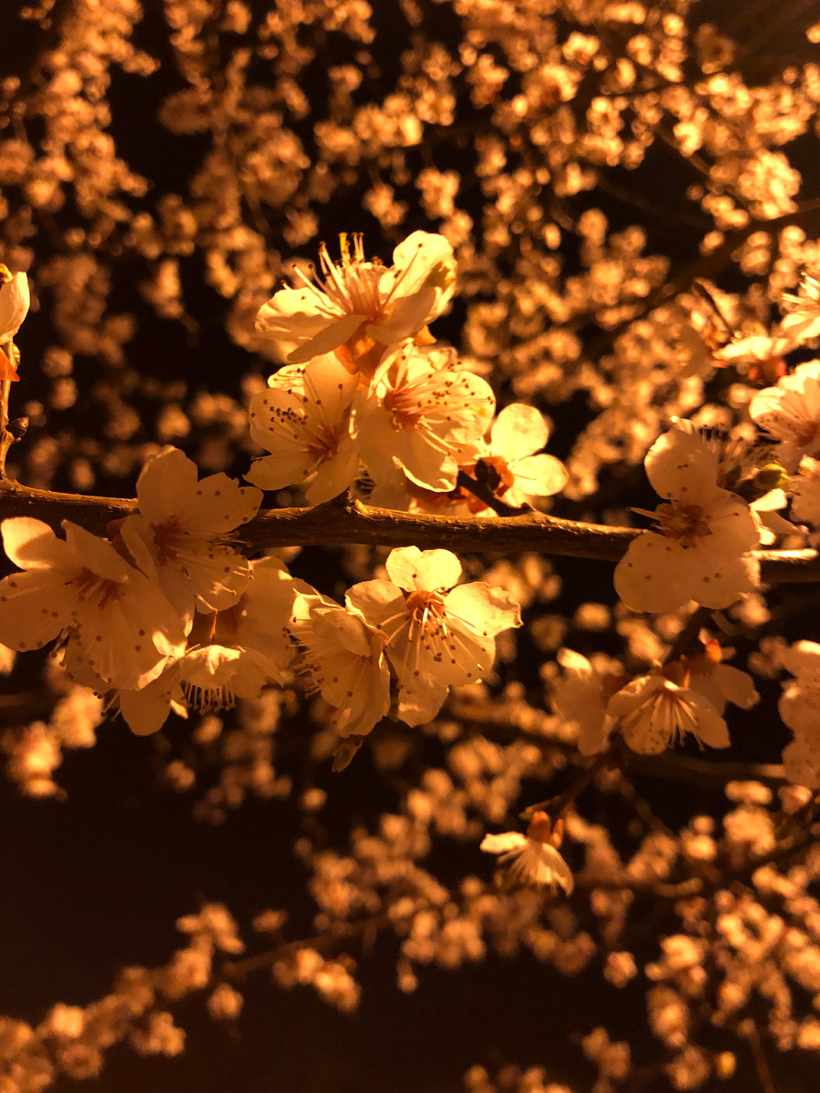 Красивое вечернее фото получилось, не могу не поделиться🤗