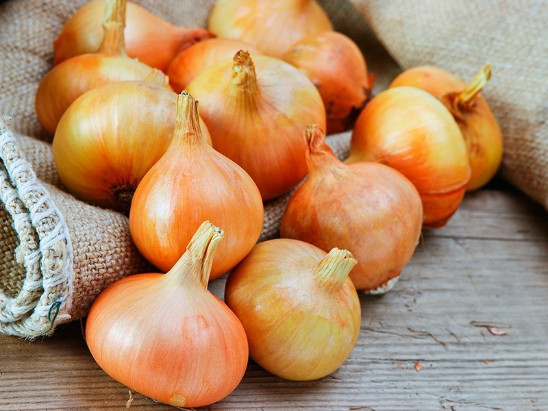    Луковая шелуха помогла улучшить солнечные батареи