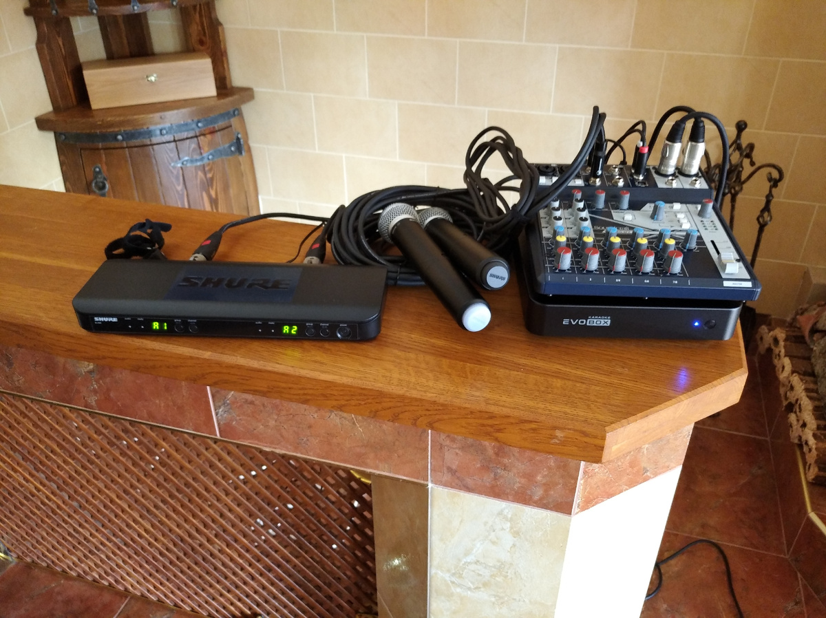 Шикарные микрофоны и караоке высшего класса.