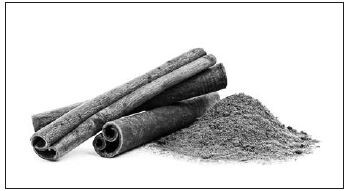 Касдаланф (киннамон). Коллаж Дж. А. Джонсона (см. прим. 7).