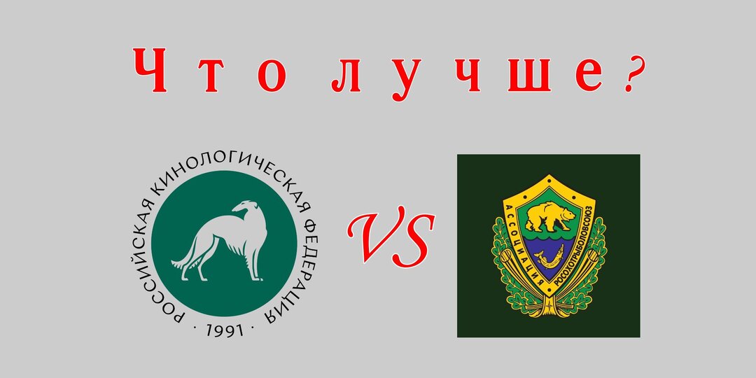 РОРС или РКФ: что выбрать владельцу охотничьей собаки?