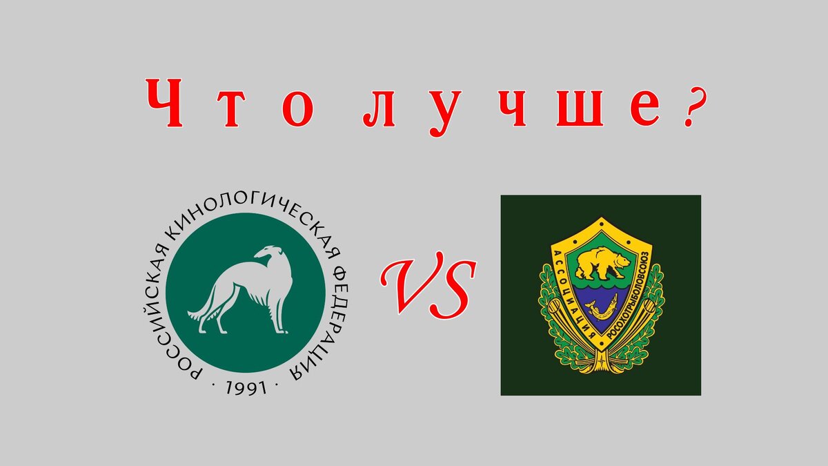 Какую из двух организаций выбрать охотнику и в чем между ними разница? расскажем в статье