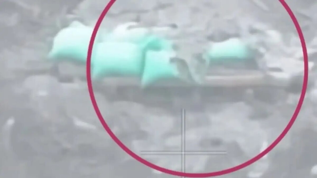    Кадр видео.