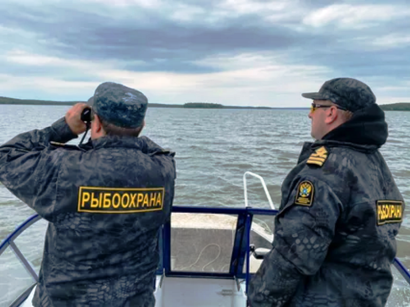 Рейд рыбоохраны