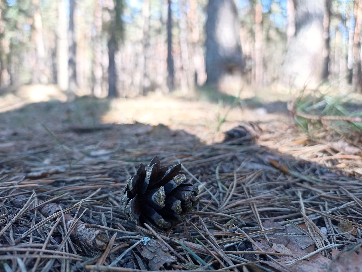 Весна в Смоленске