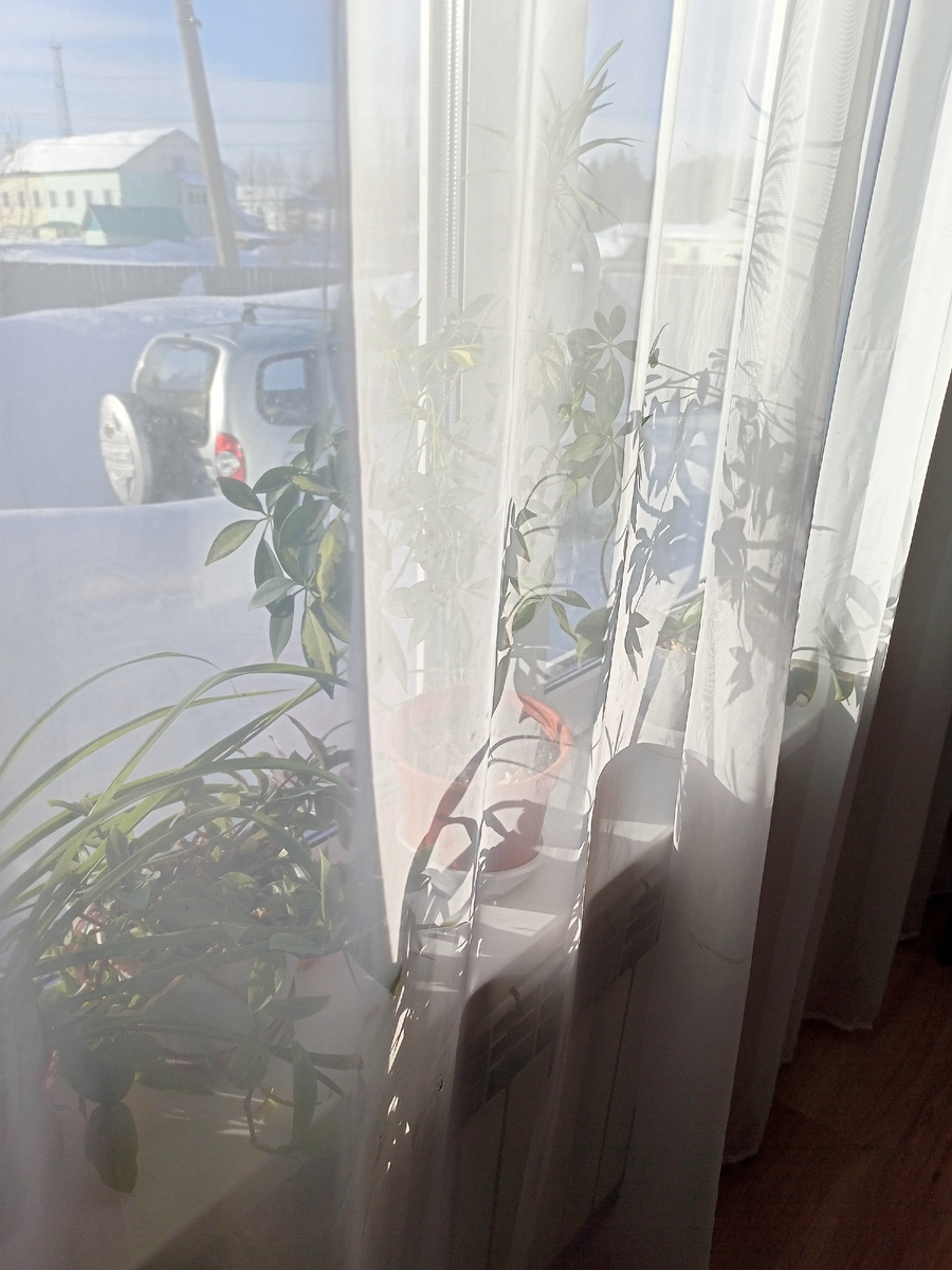 Солнечный денек