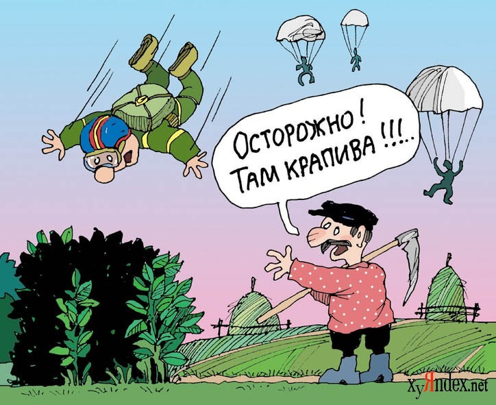 Яндекс Картинки.