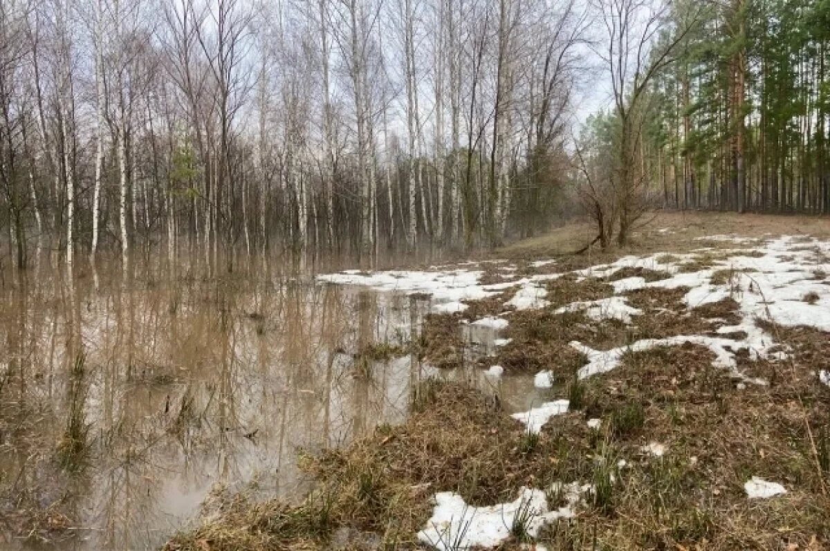    Уровень воды над мостами в районе Бузулукского бора постепенно снижается