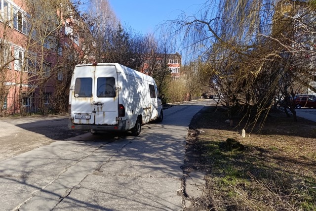   Фото: Калининград.Ru